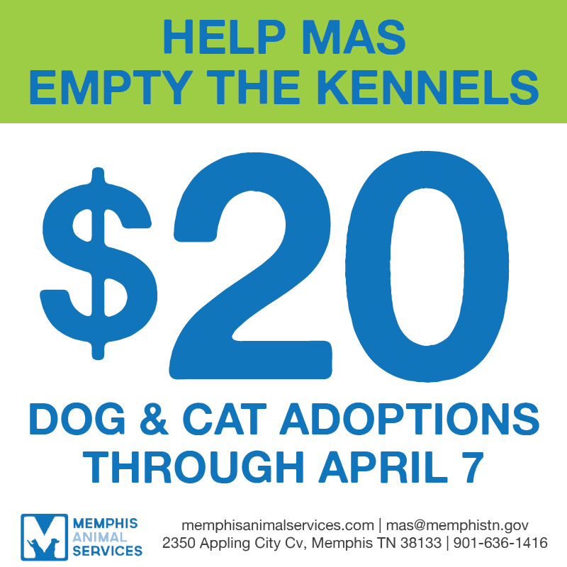 210407-empty-the-kennels