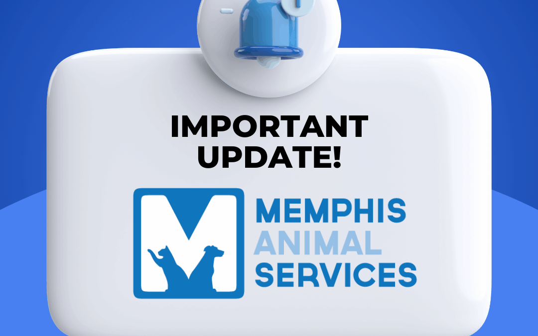 We’re Open to the Public Again!