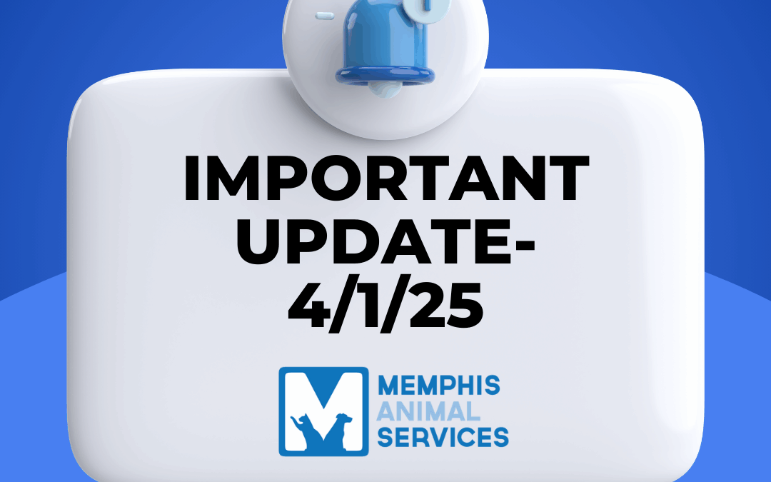 Memphis Animal Services: Operational Updates & Safety Protocols