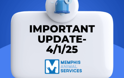 Memphis Animal Services: Operational Updates & Safety Protocols