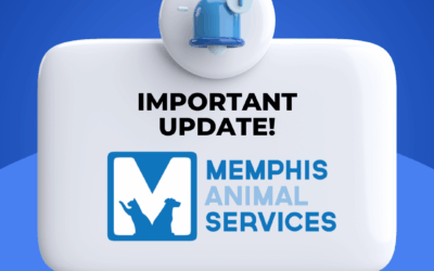 We’re Open to the Public Again!