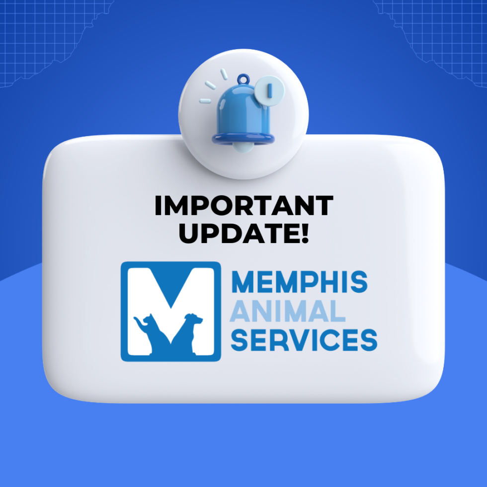 Reopening-Memphis-Animal-Services-980x980